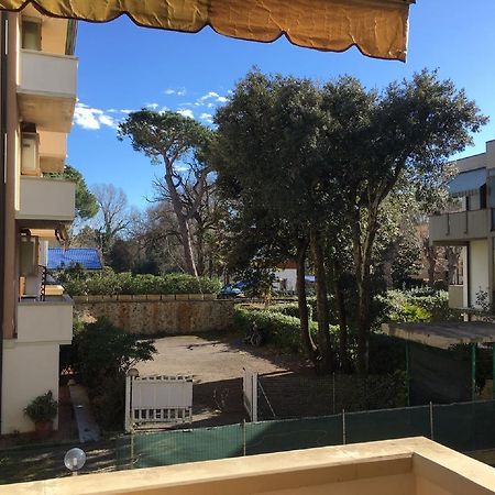 Appartamento City Garden Viareggio Eksteriør billede